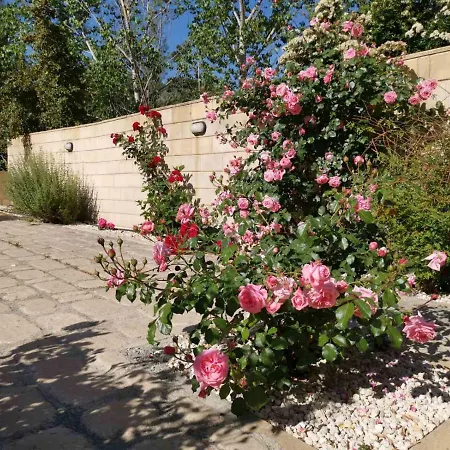 Willa House Of Roses