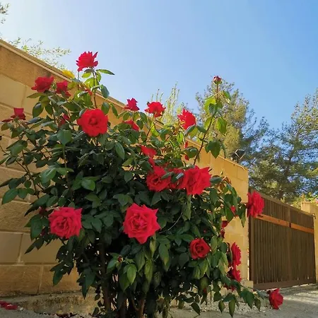 House Of Roses Limassol