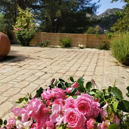 Willa House Of Roses Limassol