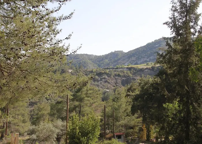 ヴィラ House Of Roses *