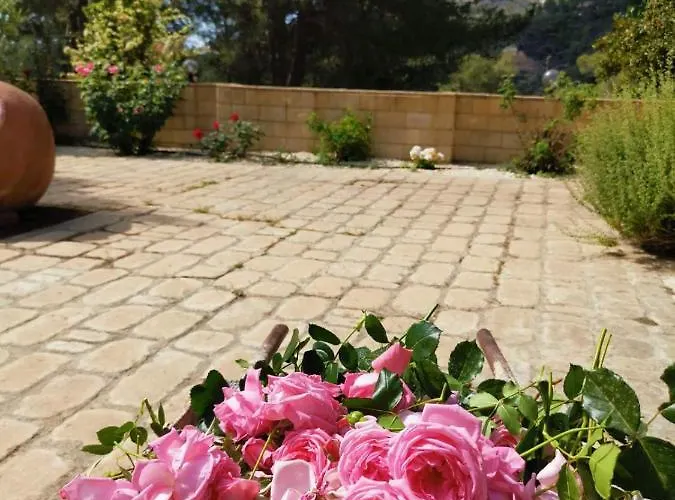 Vila House Of Roses Lemesos