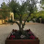 Villa House Of Roses