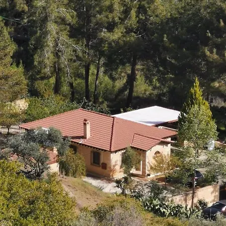 House Of Roses Limisso