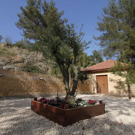 Villa House Of Roses