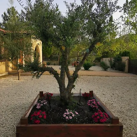 Villa House Of Roses